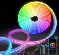 Tira de Luz LED RGB Inteligente con WiFi, IP67, Sincronización con Música, Silicona, Decoración para Dormitorio o Sala de Juegos, Control por Voz con Alexa