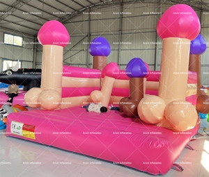 Château gonflable commercial en PVC pour soirée de filles/garçons, combo Big Dick pour soirée de filles/garçons - Product Image 4