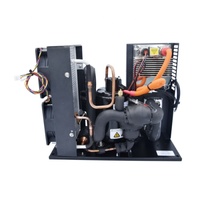 Livraison à domicile 48v 72v 96v 312v  Dc 2000W  Mini refroidisseur d'eau pour la gestion thermique Refroidisseur de batterie de véhicule électrique