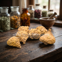 Poudre de racine de maca péruvienne de qualité supérieure, superaliment naturel à base de plantes pour la force, l'énergie, l'endurance et le soutien quotidien du bien-être