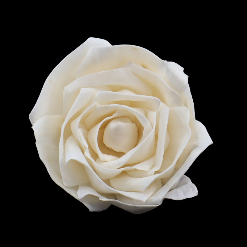 Rose à bord roulé de 8 cm-s753b08n