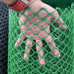 Manufacturer Green PP Plastic Flat <strong>Netting</strong> <strong>Mesh</strong> for Farm Chicken Fencing - Product Image 4