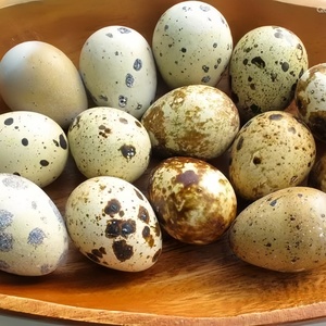 Nhà cung cấp tốt nhất của cao cấp đóng hộp Vải Thiều bảo quản trong nước tốt nhất nếm trứng cút sản phẩm cho thực phẩm sử dụng - Product Image 2