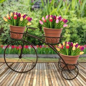 Driewieler Plant Stand-Bloempot Winkelwagen Houder-Ideaal Voor Huis, Tuin, patio-Grote Gift Voor Plant Liefhebbers - Product Image 4