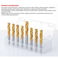 Tap Mesin Presisi Industri untuk Baja Tahan Karat & Baja, dengan Alur Lurus & Alur Spiral