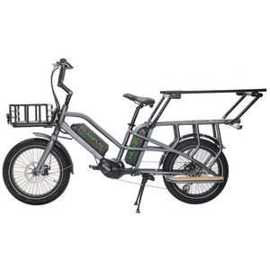 IS09001 Nghiêm ngặt kiểm soát chất lượng Trung Quốc Chất lượng tốt nhất điện động cơ trung tâm xe đạp với ghế ngồi cho hai bé - Product Image 4