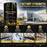 Gummies de Shilajit avec Ashwagandha et Gingembre pour l'énergie et la croissance musculaire des adultes, 2 par jour, flacon de 60 unités