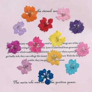 Hirondelles teintées, fleur séchée pied-de-poule fleur pressée bricolage signets en relief, étui de téléphone portable fleur séchée à la colle - Product Image 3