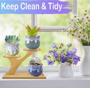 Soporte para plantas suculentas <span class=keywords><strong>de</strong></span> escritorio <span class=keywords><strong>de</strong></span> <span class=keywords><strong>madera</strong></span> <span class=keywords><strong>de</strong></span> bambú <span class=keywords><strong>de</strong></span> 3 capas, soporte <span class=keywords><strong>de</strong></span> exhibición para plantas <span class=keywords><strong>de</strong></span> interior pequeñas y bonitas - Product Image 2