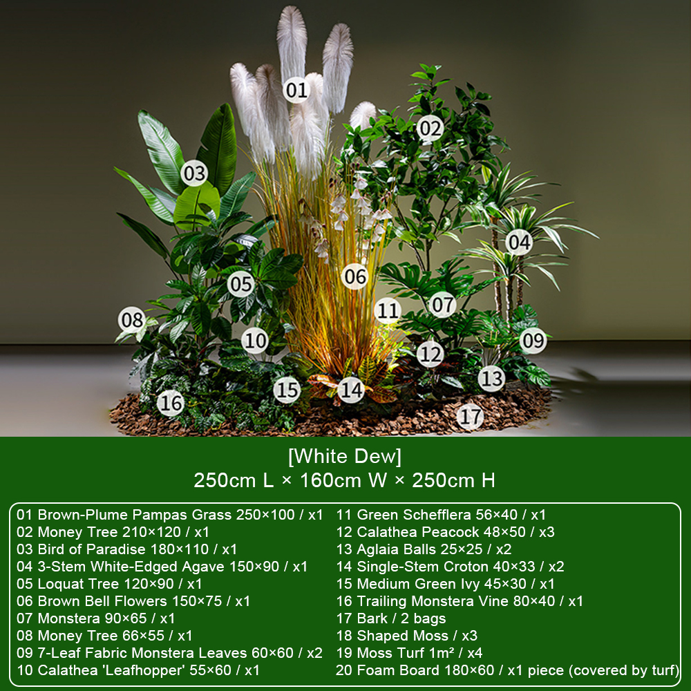 [White Dew] Ensemble avec herbe de pampa et arbre à argent