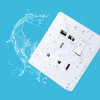Bingoelec Double interrupteur universel Prise murale USB Typ-C Prise électrique avec indicateur