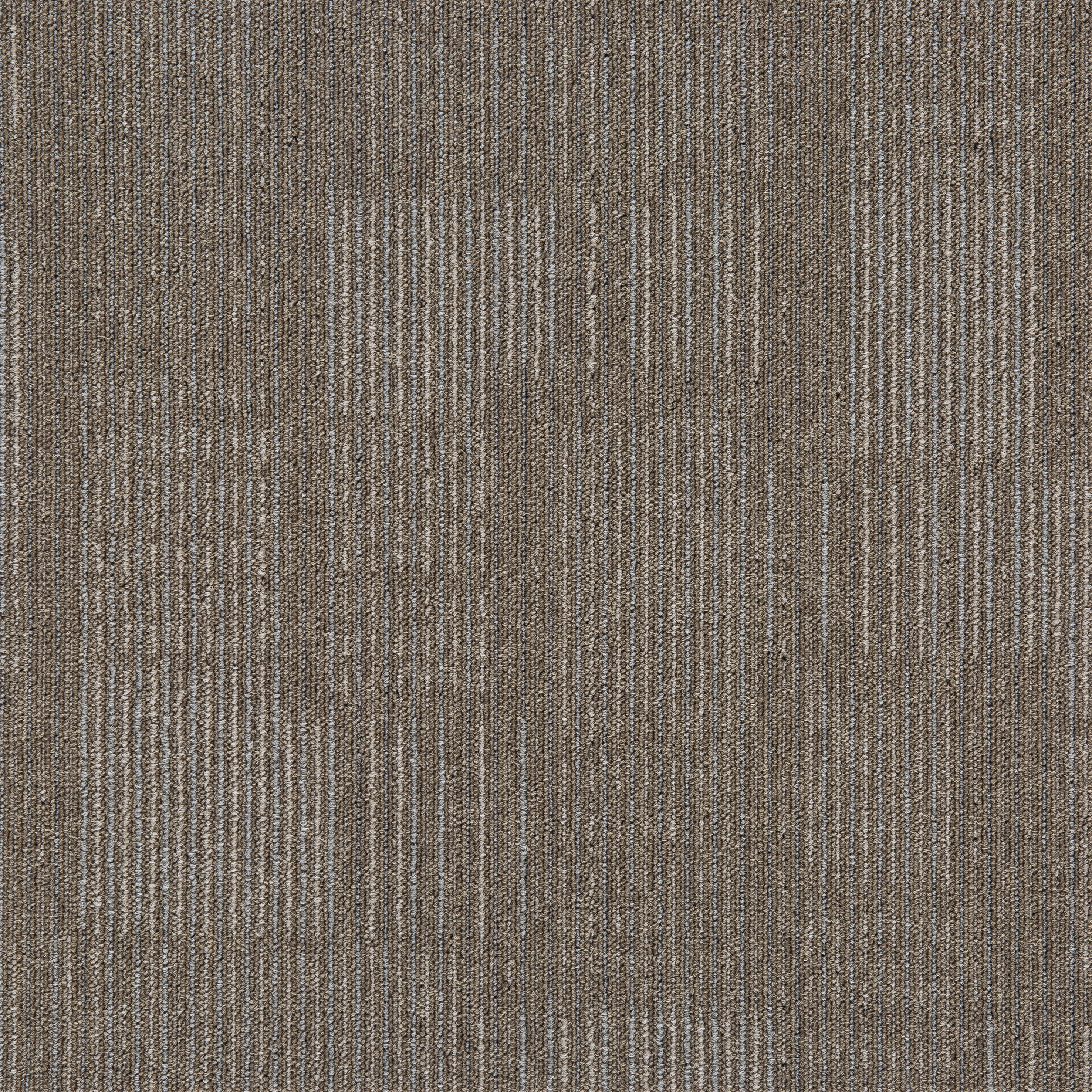 Grey01