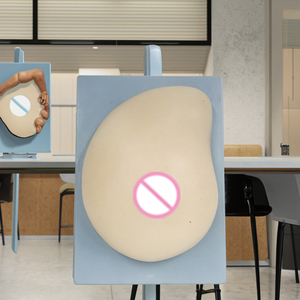 Modelo <span class=keywords><strong>de</strong></span> Anatomía del Seno Izquierdo - Tejido Blando con 3 Patologías Integradas, Técnicas <span class=keywords><strong>de</strong></span> Autoexamen, Modelo Básico <span class=keywords><strong>de</strong></span> Anatomía Humana para Enfermería - Product Image 5