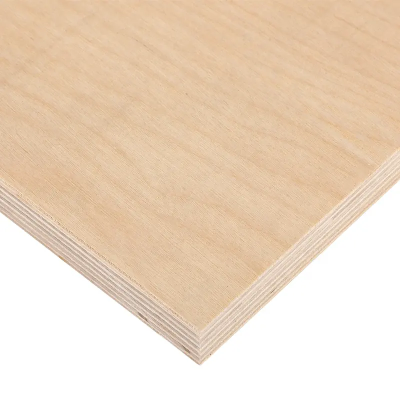 Full Birch Plywood Industrial Red Indoor Hotel E1 Plywood Birch Usa Suppliers Bait Hot Sale Baltic Birch Plywood 3 Years 1*40'HQ