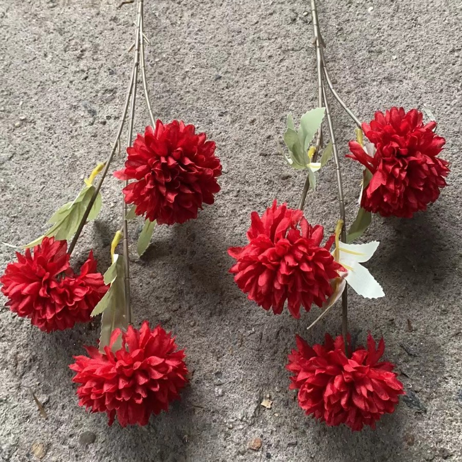 Rouge, 4 nouvelles boules de chrysanthème rouge