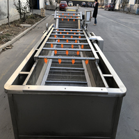 Automatische belletjeswasmachine, fruit- en groentewasser, koelmachine