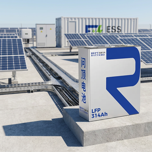Sel Baterai Prismatik LiFePO4 REPT 314Ah Grade A 10000 Siklus untuk Sistem Penyimpanan Energi Skala Utilitas BESS Kontainer Tingkat MW - Product Image 1