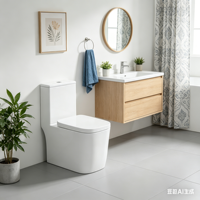 Ensemble WC monobloc moderne en céramique blanche avec siphon en S, fixation au sol, double chasse d'eau, design écologique