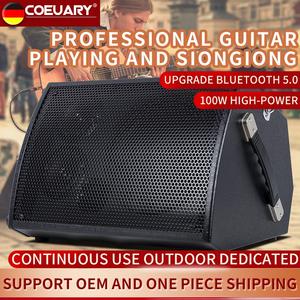Amplificador de Guitarra Activo de 100W COEUARY Altavoz de 8 Pulgadas para Canto y Audio para Instrumentos, Transmisión en Vivo en la Calle al Aire Libre - Product Image 6