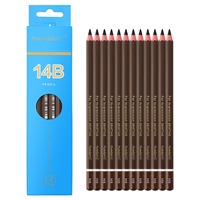 Crayons à Dessin au Charbon PurespiritSpecial Doux/Moyen/Dur 4H/2H/HB/2B/3B/4B/5B/6B/8B/10B/12B/14B Noir pour Croquis et Esquisses