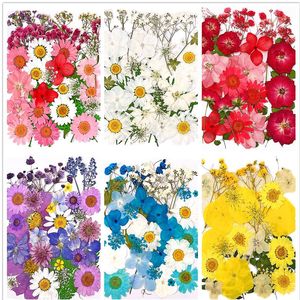 Pétalos de hoja de tallo de <span class=keywords><strong>flores</strong></span> <span class=keywords><strong>silvestres</strong></span> <span class=keywords><strong>preservadas</strong></span>, <span class=keywords><strong>flores</strong></span> prensadas Diy, flor prensada de resina, flor seca plana prensada para manualidades Diy - Product Image 3