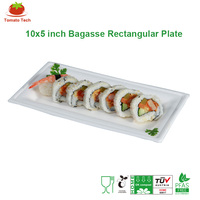 Assiette jetable en bagasse sans PFAS, 10x5 pouces, blanche, rectangulaire, compostable, biodégradable, écologique
