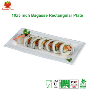 <span class=keywords><strong>Assiette</strong></span> <span class=keywords><strong>rectangulaire</strong></span> en bagasse <span class=keywords><strong>blanche</strong></span> sans PFAS 10x5 pouces (260x130mm) compostable, résistante à l'huile, vente en gros - Product Image 1