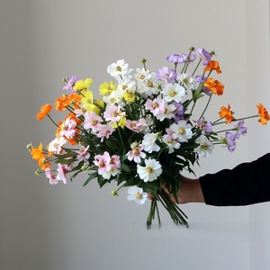 新鮮なシンプルな牧歌的なスタイルの人工秋菊小さな野生の花の家の装飾の配置イースターを含む - Product Image 4