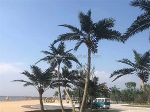 Bán Hàng Trực Tiếp Nhà Máy Chất Lượng Cao Trung Quốc Ngoài Trời Hainan Cây Dừa Lớn Nhân Tạo Thanh Cong Bền Sợi Thủy Tinh Cho - Product Image 3