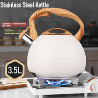 Bouilloire en acier inoxydable de qualité alimentaire, ustensile de cuisine de 3,5 l avec revêtement coloré