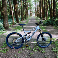 Vélo de montagne électrique à suspension intégrale en fibre de carbone Amflow PL Carbon (800wh) EMTB, vélo de montagne professionnel pour la descente