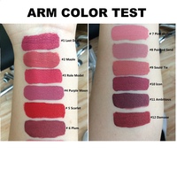Ensemble de Rouges à Lèvres Liquides Mats, Maquillage des Lèvres Résistant à l'Eau pour Filles et Femmes, Kit de Gloss à Lèvres Hydratants Multi-Couleurs