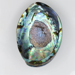 Hot Sale New Zealand Abalone <strong>Shell</strong> Polished Natural Seashell for Home Decoration Aquarium Landscaping Burning Sage <strong>Shell</strong> - Product Image 4