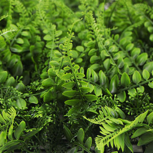 Stoff künstliche Efeu hecke grünes Blatt Pflanzen wand für Büro und Balkon Privatsphäre - Product Image 3