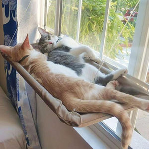 Shengfeng Pet Supply - Produit pour animaux de compagnie très vendu - Lit pour chat pliable et peu encombrant avec ventouse - Hamac pour chat à fixer à la fenêtre - Product Image 3