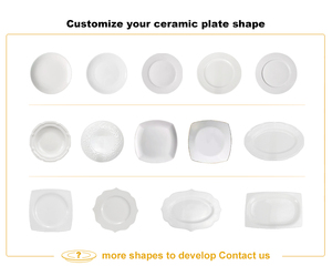 Rustic Retro Eco-Friendly Fashion Solid Pattern Custom Bone China Dishwasher Safe Dinnerware <b>Set</b> Sample Available for - Product Image 6