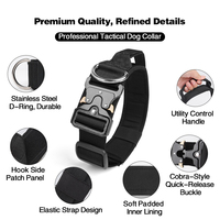 Collier pour chien en nylon robuste avec sangle réglable pour chiens de travail, activités de plein air, entraînement, promenade, OEM personnalisé
