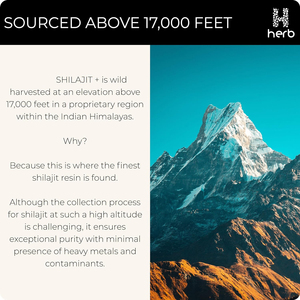 Oem nhãn hiệu riêng Hữu Cơ shilajit nhựa tinh khiết Himalayan - Product Image 4