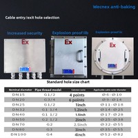 Boîte de jonction antidéflagrante en acier inoxydable, type IIB/IIC, sécurité accrue, boîte de distribution de surveillance anti-poussière BJX