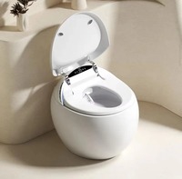 Toilette intelligente à détection automatique, nouvelle conception, électrique, monobloc, sans réservoir, forme œuf, télécommande avancée