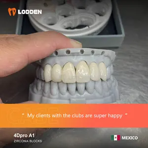 Disco de zirconia LODDEN fabricante de zirconia dental 4DPRO 98mm 95mm AG multicapa implantes dentales bloque de Zirconia