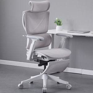 เก้าอี้สำนักงานดีไซน์หรูหราทันสมัยสำหรับผู้บริหาร ผู้มาเยี่ยมชม และผู้ใหญ่ ออกแบบตามหลักสรีรศาสตร์ พร้อมพนักพิงตาข่าย - Product Image 5