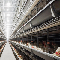 Système de collecte automatique des œufs, équipement d'élevage de volailles, cage à poules pondeuses de type H à 4 niveaux, cage à poules en batterie à vendre