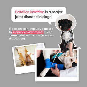 Protector de Mesa de Peluquería para Mascotas HEDYS GROOMING, Duradero, Antideslizante, de Silicona (Rosa Marino), Resistente a Arañazos e Impermeable - Product Image 6