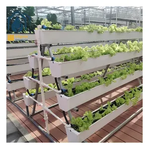 Serra idroponica della fragola dei sistemi di coltivazione idroponica delle fragole del tunnel delle piante agricole di basso costo