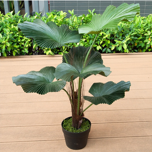 Plante artificielle en plastique, <span class=keywords><strong>palmier</strong></span> à feuilles rondes et à tige épineuse, imitation, utilisation intérieure/extérieure, haute authenticité, résistante à l'eau - Product Image 4