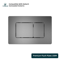 Plaque de commande à double chasse pour réservoir de toilettes encastré, 38 mm, en acier inoxydable, économie d'eau, pour Geberit