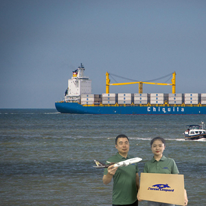 Servicio de Logística de Entrega a Domicilio DDP con Envío LCL+Express desde China a Destinos Globales - ForestLeopard Freight Forwarder - Product Image 1