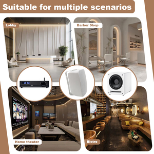 Sistema de Música Ambiental Inteligente para el Hogar con 4 Altavoces y 1 Amplificador de Dos Zonas - Product Image 1