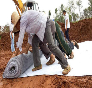 Sản Phẩm Bán Chạy Geosynthetic Clay <span class=keywords><strong>Liner</strong></span> <span class=keywords><strong>GCL</strong></span> Các Sản Phẩm Làm Đất Khác - Product Image 3